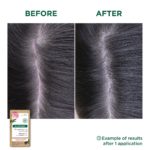 MARKETING KLORANE Shampoo-Bar Pfingstrose Bio 80 g