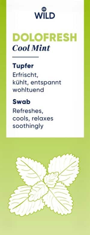 DOLOFRESH liq mit Tupfer Fl 10 ml