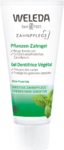 CONTENTFRONT WELEDA Zahngel Pflanzen Tb 75 ml