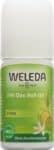 PICFRONT WELEDA 24h Deo Roll-on Citrus 50 ml