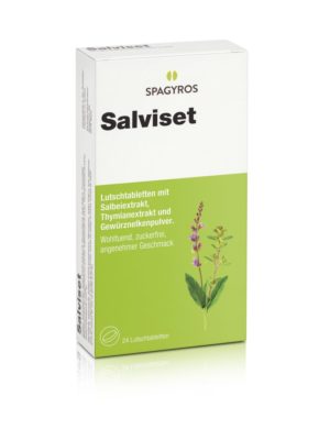 PICFRONT3D SALVISET Pastillen 24 Stk