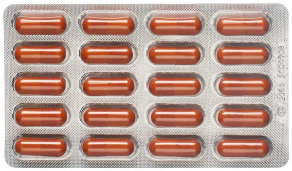 ALPINAMED Curcuma Intest Kaps 60 Stk