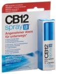 PICFRONT3D CB12 Spray Mint/Menthol 15 ml