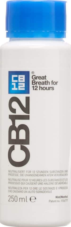 PICFRONT CB12 Mundpflege Fl 250 ml