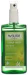 CONTENTFRONT WELEDA Deo Spray Citrus 100 ml