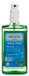 CONTENTFRONT WELEDA Deo Spray Salbei 100 ml