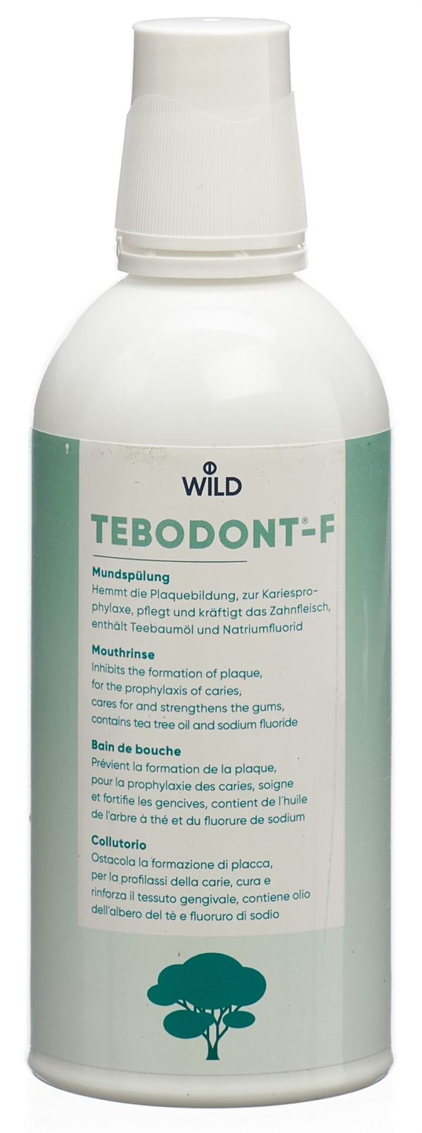 PICFRONT3D TEBODONT-F Mundspülung Petfl 500 ml